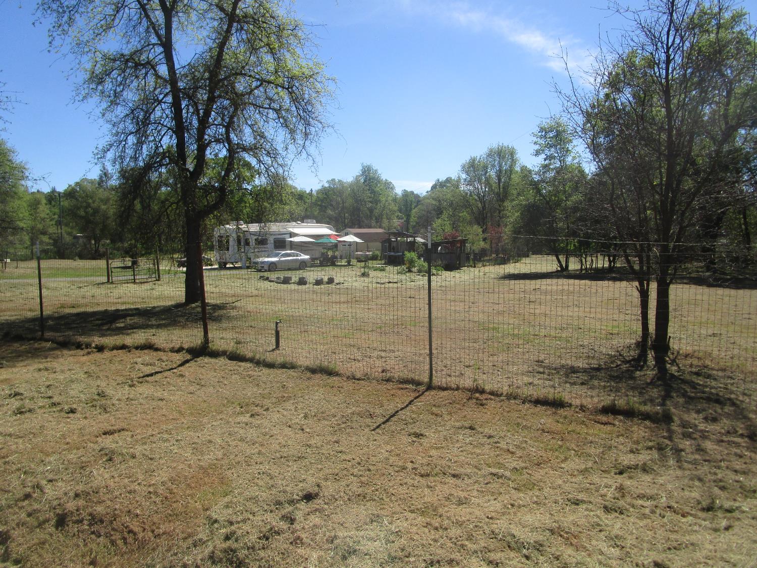 10410 Valley Drive Rough and Ready, CA 95975 - Photo 4 of 31 a view of a yard with a tree
