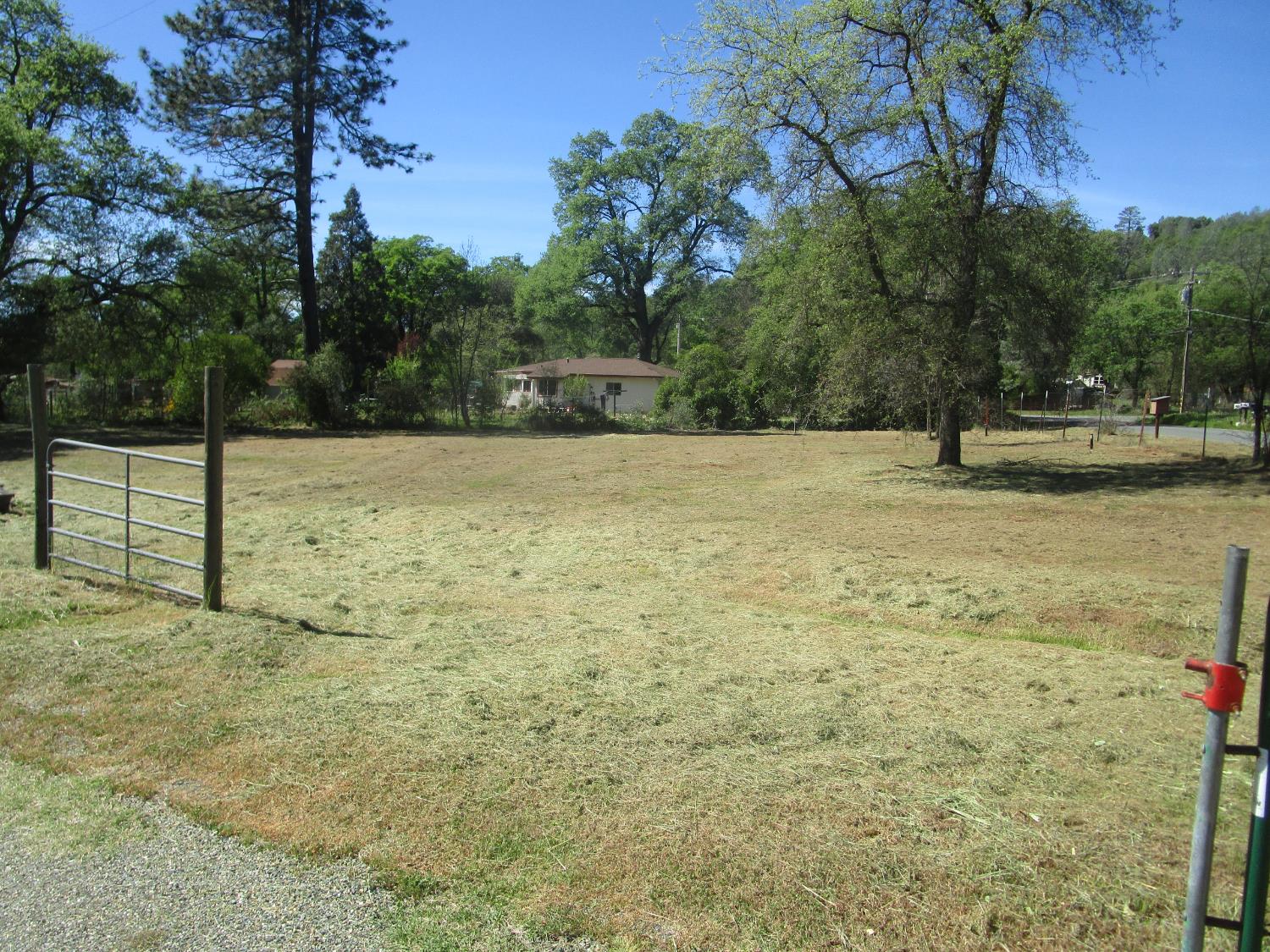 10410 Valley Drive Rough and Ready, CA 95975 - Photo 7 of 31 a view of a yard with an trees