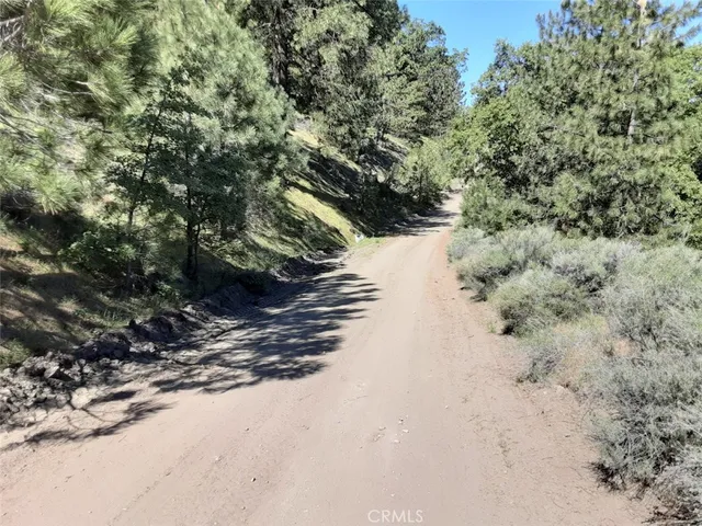a view of a dry yard with a tree