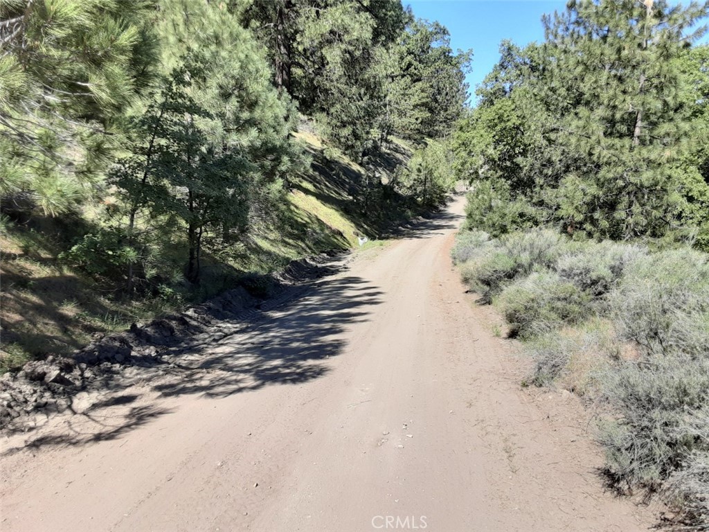 0 Interlaken Tehachapi, CA 93561 - Photo 2 of 5 a view of a dry yard with a tree