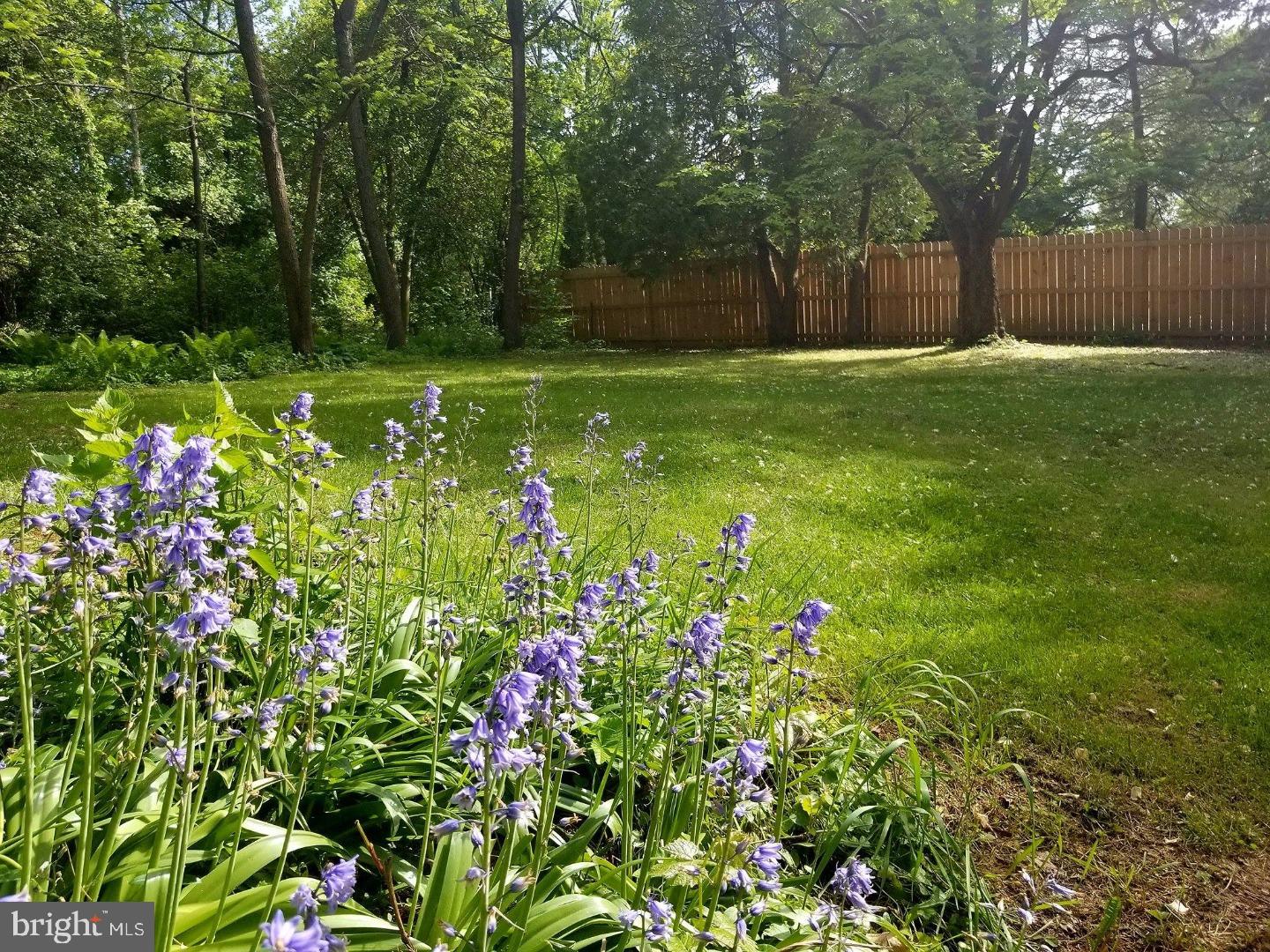 220 Sunnybrook Road Flourtown, PA 19031 - Photo 2 of 10 Back Yard