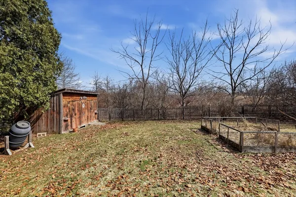 a view of a dry yard with trees
