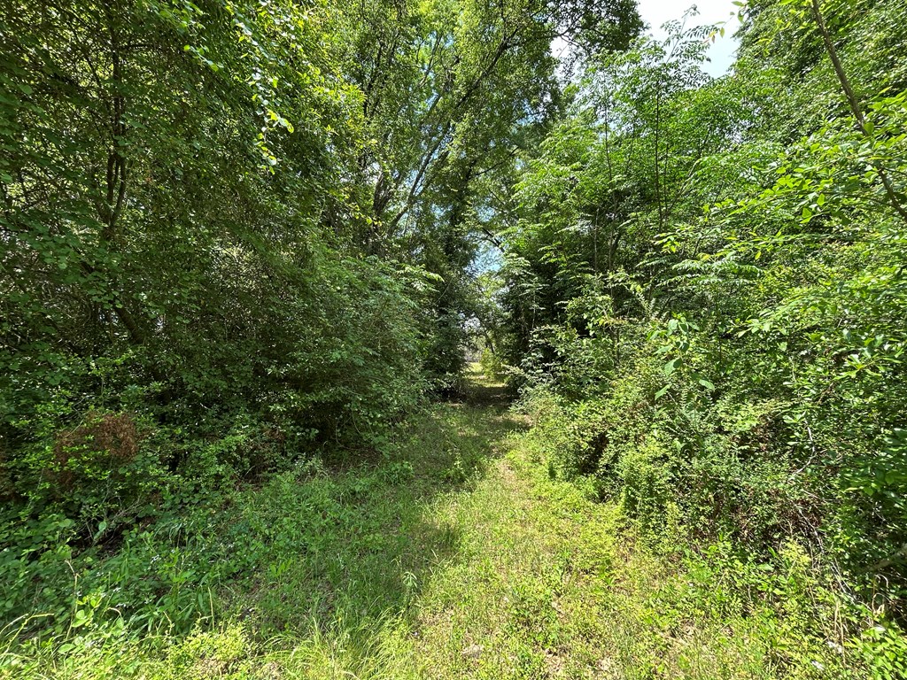 10907-44 -ac) Cty Road Hartford, AL 36344 - Photo 38 of 52