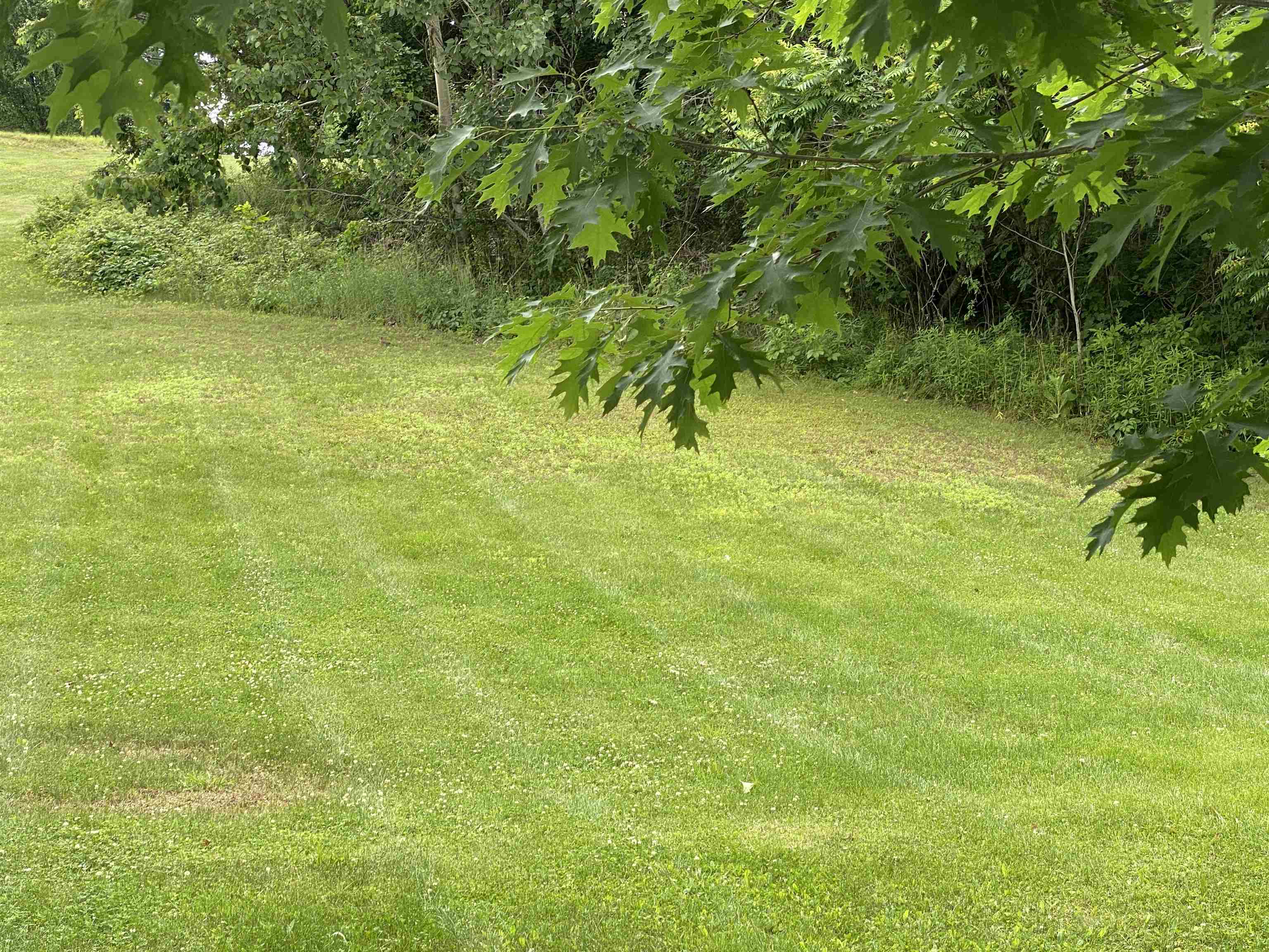 0 Sharon Drive, Unit 12 Rutland, VT 05701 - Photo 4 of 15