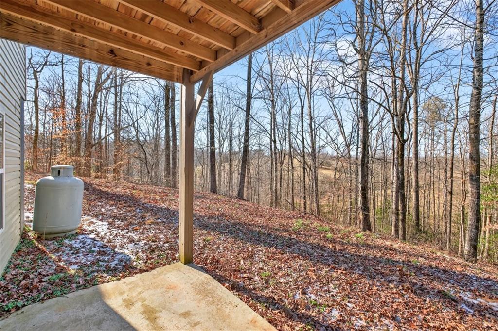 90 Azalea Court Murrayville, GA 30564 - Photo 57 of 68