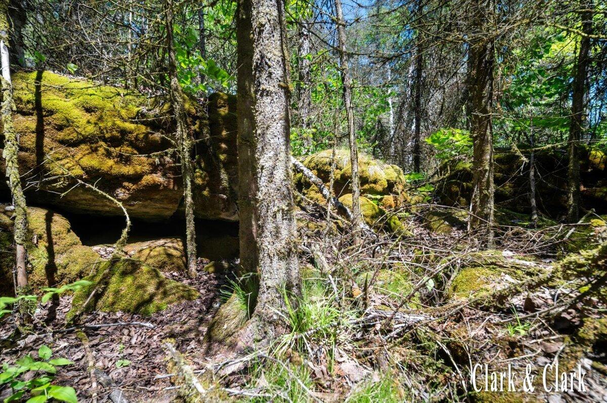 35965 South Humms Road Drummond Island, MI 49726 - Photo 67 of 73 141-WOODS 08A