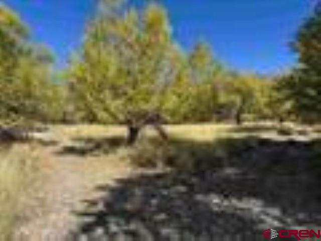 1-2 Price Road Paonia, CO 81428 - Photo 4 of 8