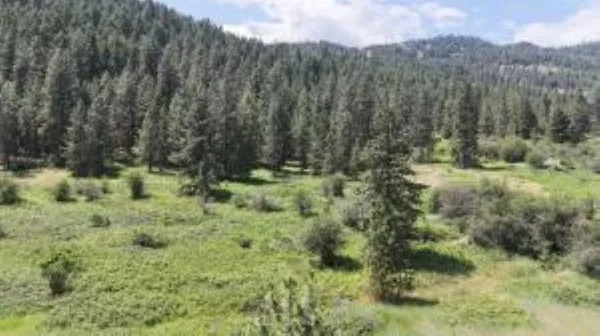 $99,000 | 20-xx Northport Flat Creek Road, Kettle Falls, WA 99141