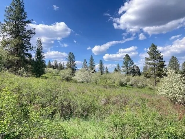 $115,000 | 20-xx Northport Flat Creek Road, Kettle Falls, WA 99141