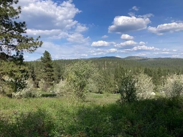 $115,000 | 20-xx Northport Flat Creek Road, Kettle Falls, WA 99141