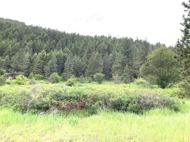 $115,000 | 20-xx Northport Flat Creek Road, Kettle Falls, WA 99141