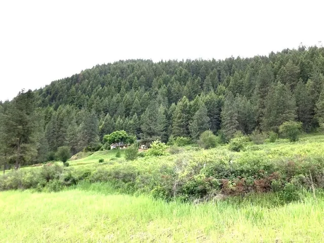 $115,000 | 20-xx Northport Flat Creek Road, Kettle Falls, WA 99141