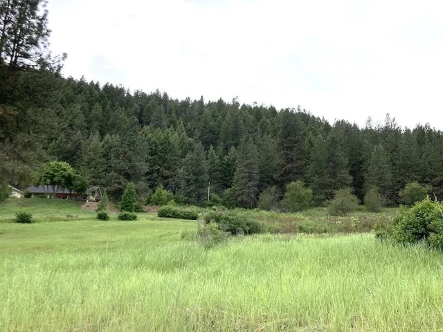 $115,000 | 20-xx Northport Flat Creek Road, Kettle Falls, WA 99141