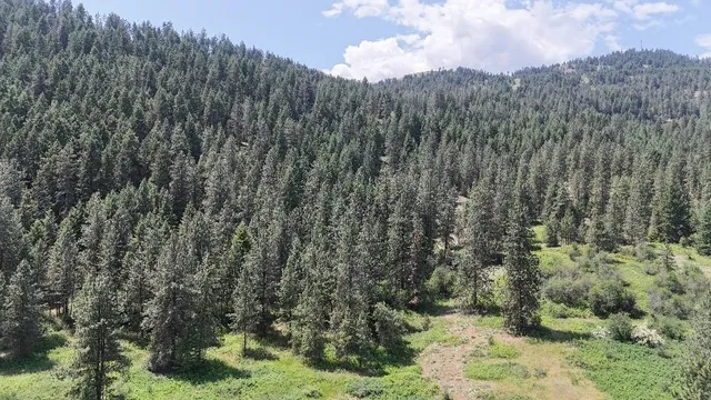 $115,000 | 20-xx Northport Flat Creek Road, Kettle Falls, WA 99141