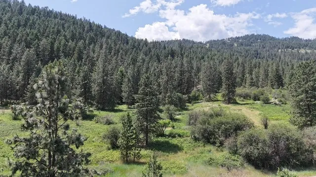 $115,000 | 20-xx Northport Flat Creek Road, Kettle Falls, WA 99141