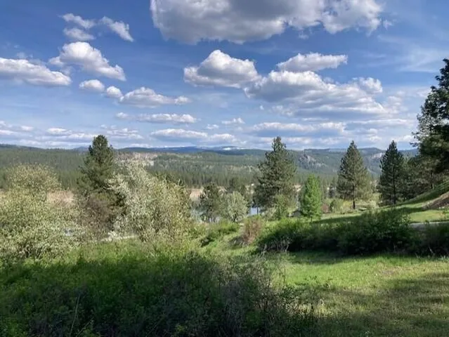 $115,000 | 20-xx Northport Flat Creek Road, Kettle Falls, WA 99141
