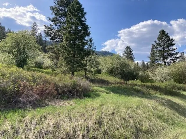 $115,000 | 20-xx Northport Flat Creek Road, Kettle Falls, WA 99141