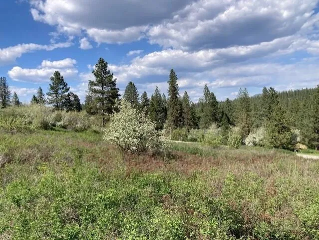 $115,000 | 20-xx Northport Flat Creek Road, Kettle Falls, WA 99141