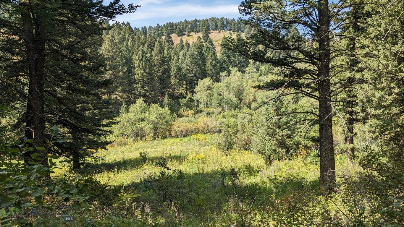 Lot 10 Moffit Gulch Road Bozeman, MT 59715 - Photo 1 of 1 Gallery Image 1