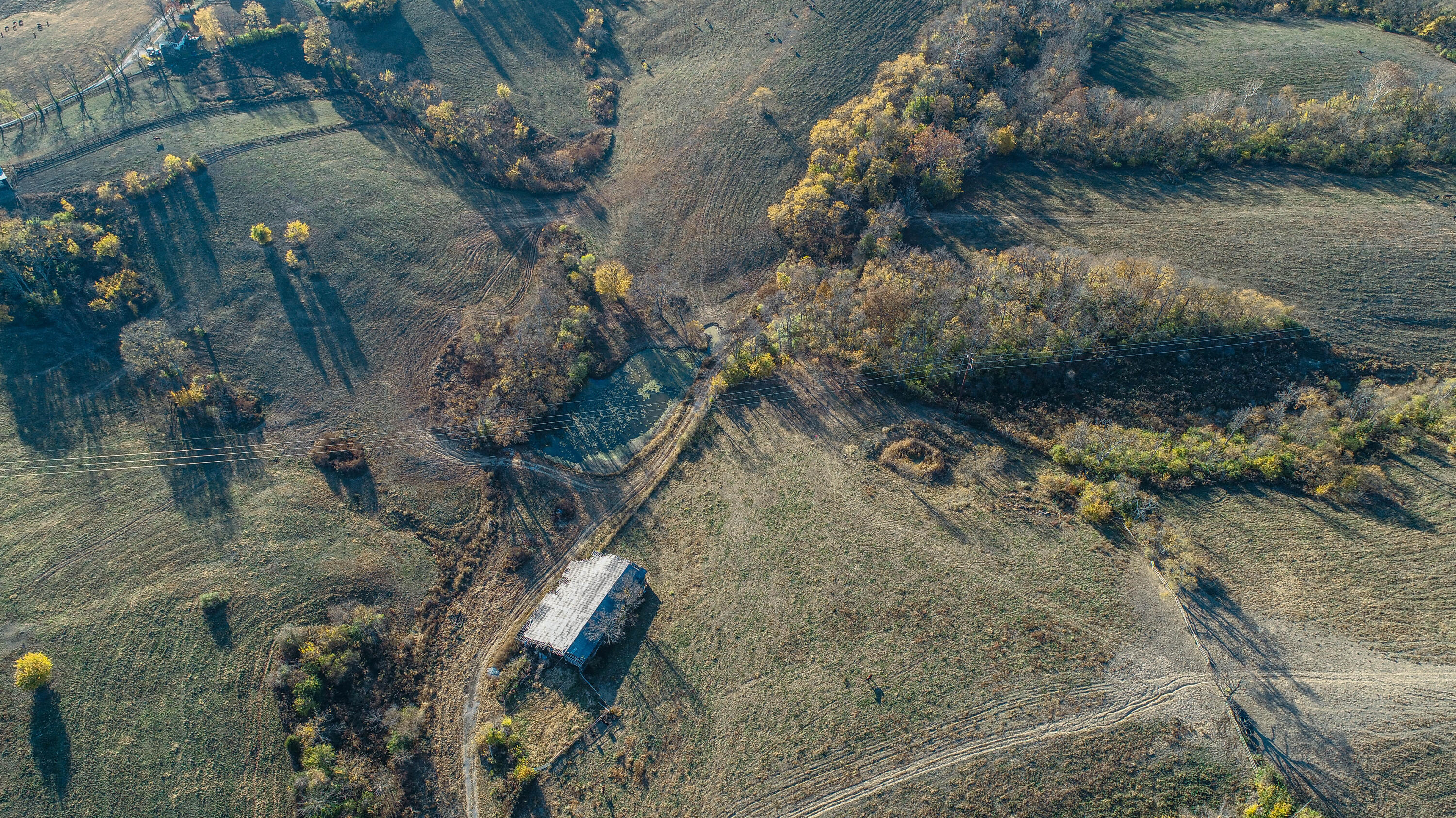 5563 Levy Road Paris, KY 40361 - Photo 22 of 23 DJI_0045