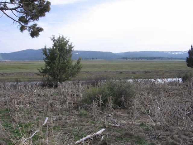 Lot 7 Drews Road Chiloquin, OR 97639 - Photo 12 of 14 7
