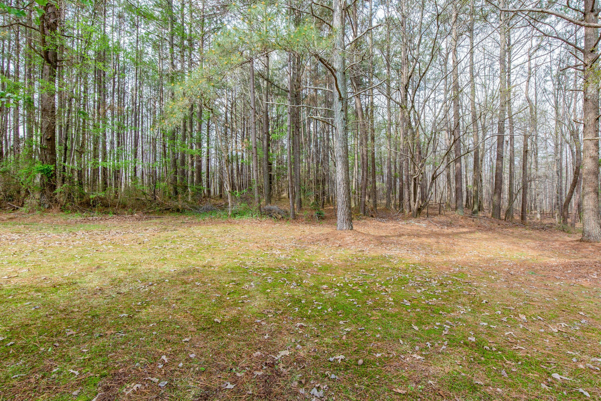 132 Baker Road Hohenwald, TN 38462 - Photo 28 of 28 Gallery Image 28