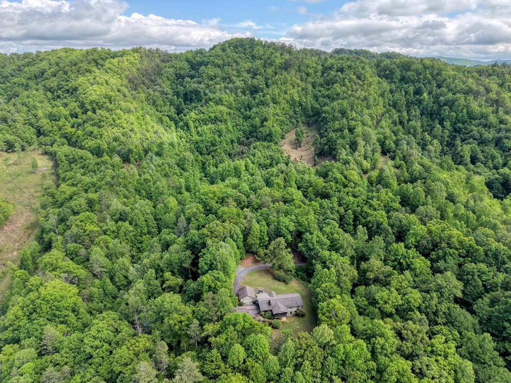 874 Deer Hill Road Murphy, NC 28906 - Photo 52 of 54