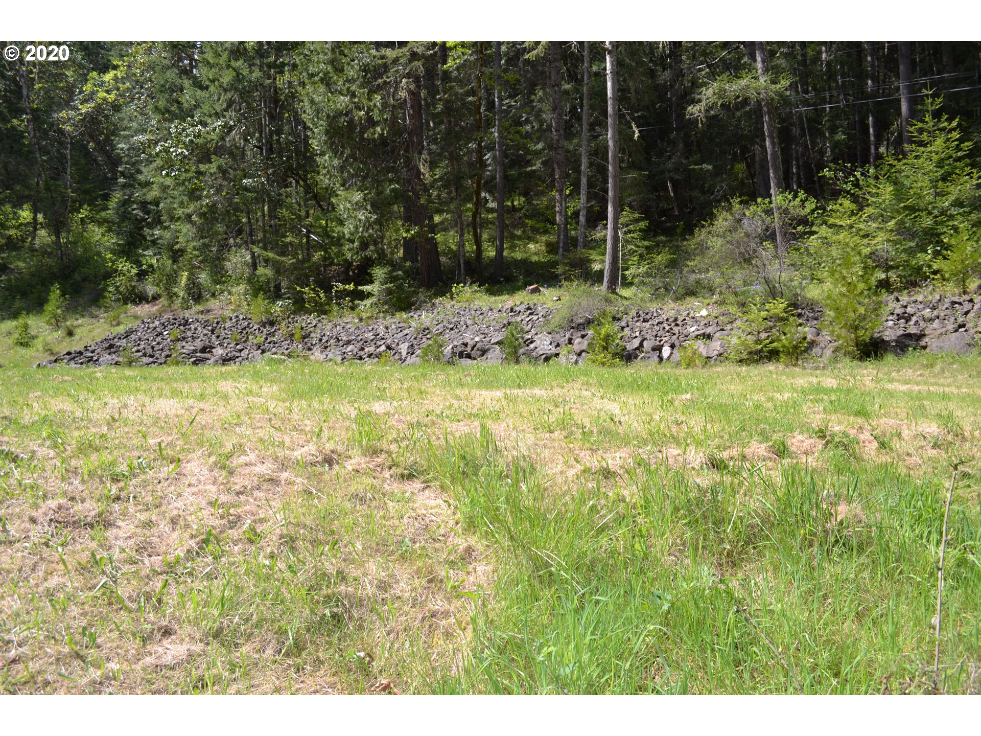 787 Snowberry Road Roseburg, OR 97471 - Photo 4 of 14