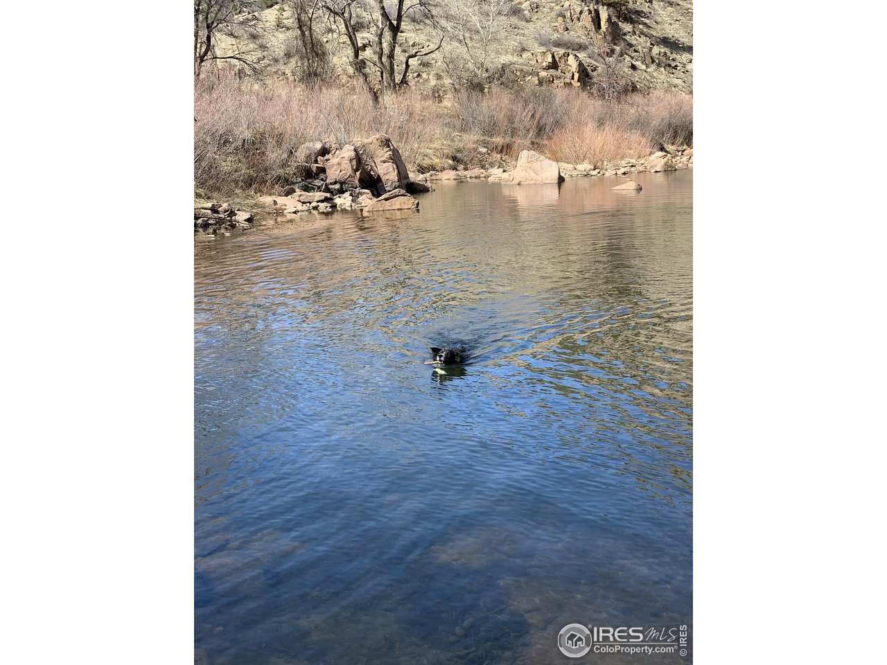 0 Longmont Dam Road, Unit 24 ACRE Lyons, CO 80540 - Photo 6 of 8