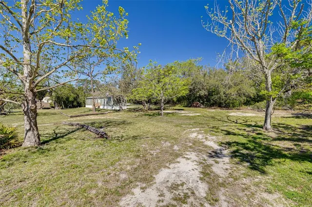 a view of yard with tree