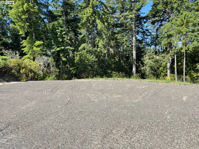 a view of a yard with plants and large trees
