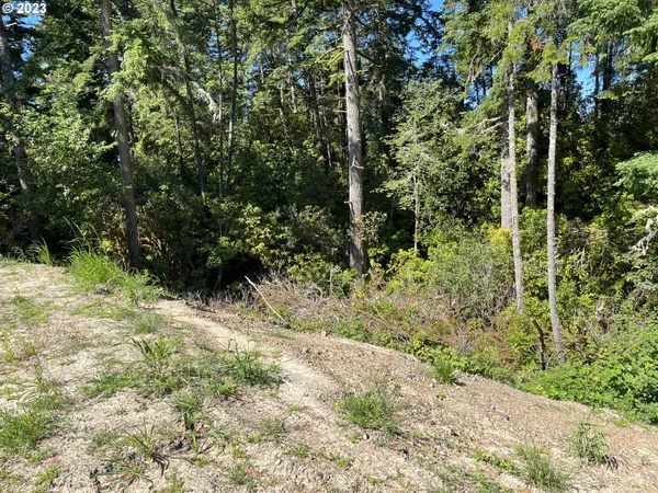 $139,000 | Munsel Lake Road, Florence, OR 97439