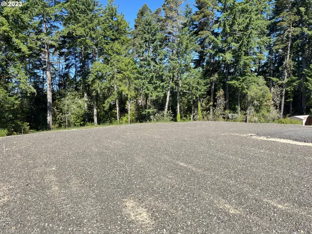 a view of an outdoor space with trees
