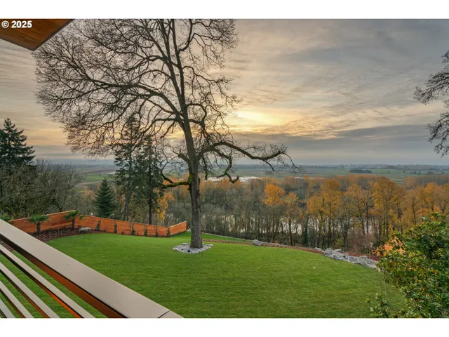 a view of outdoor space and yard