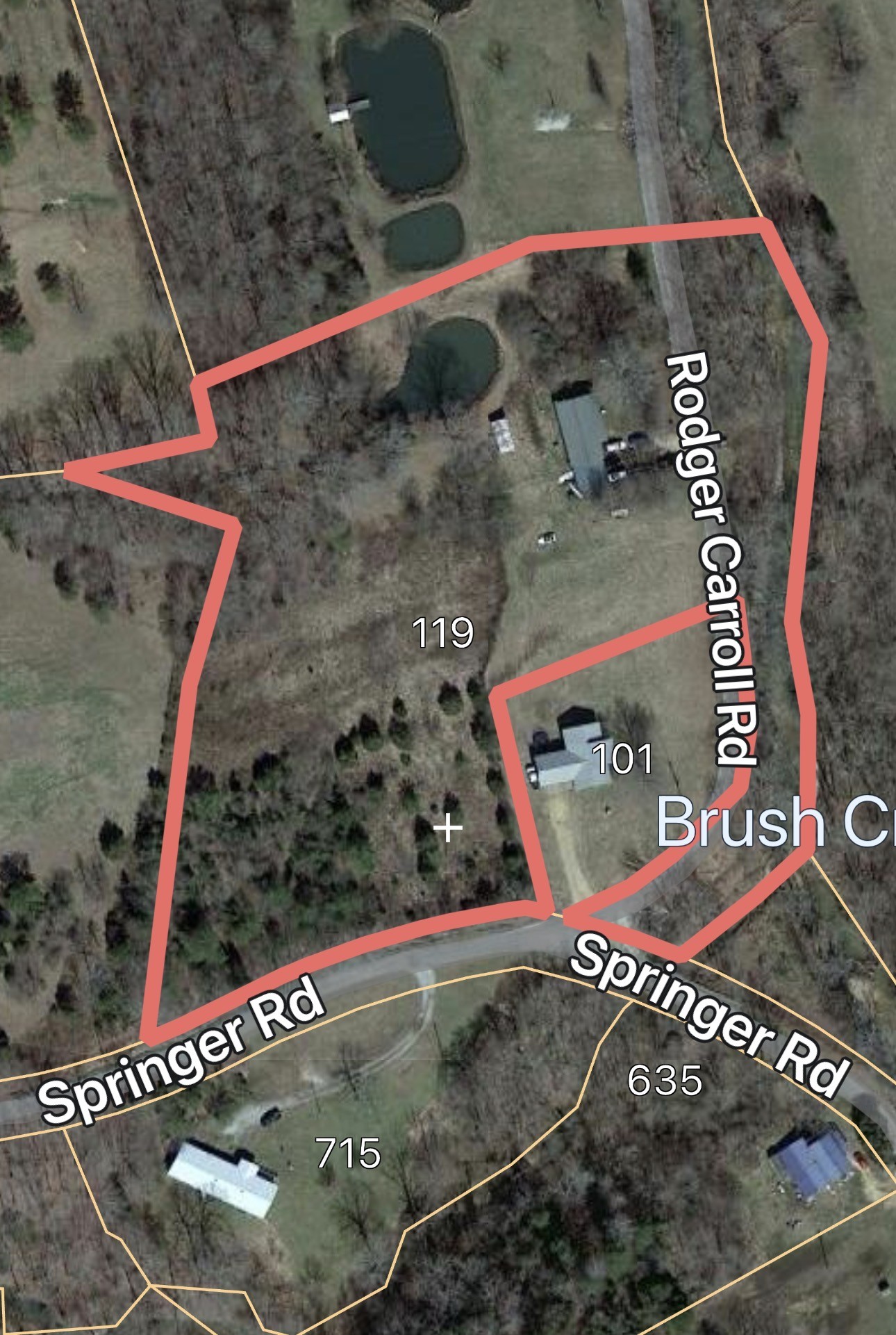 119 Rodger Carroll Road Hohenwald, TN 38462 - Photo 2 of 14
