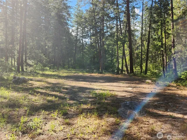 a view of outdoor space with trees