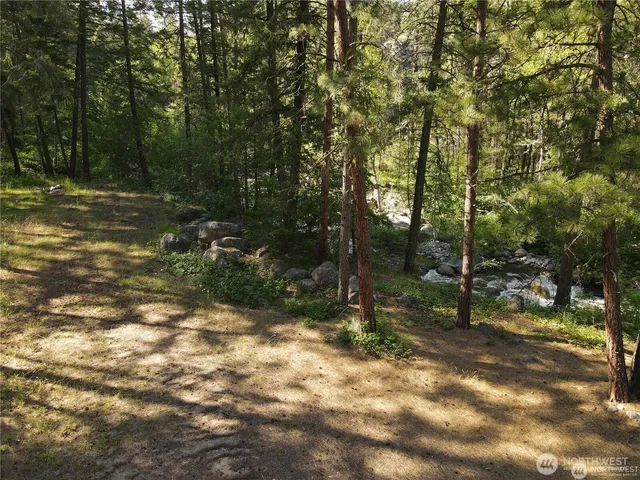 a view of outdoor space with trees