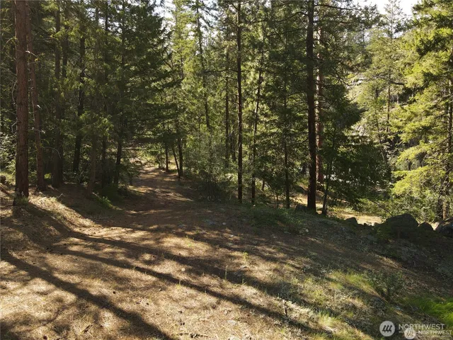 a view of backyard with green space