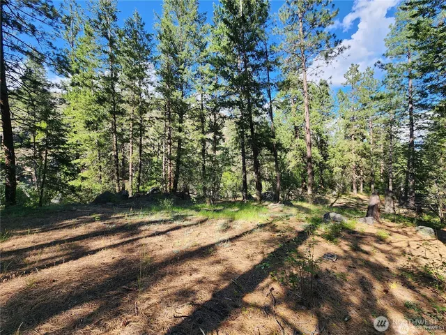 a view of a yard with a tree