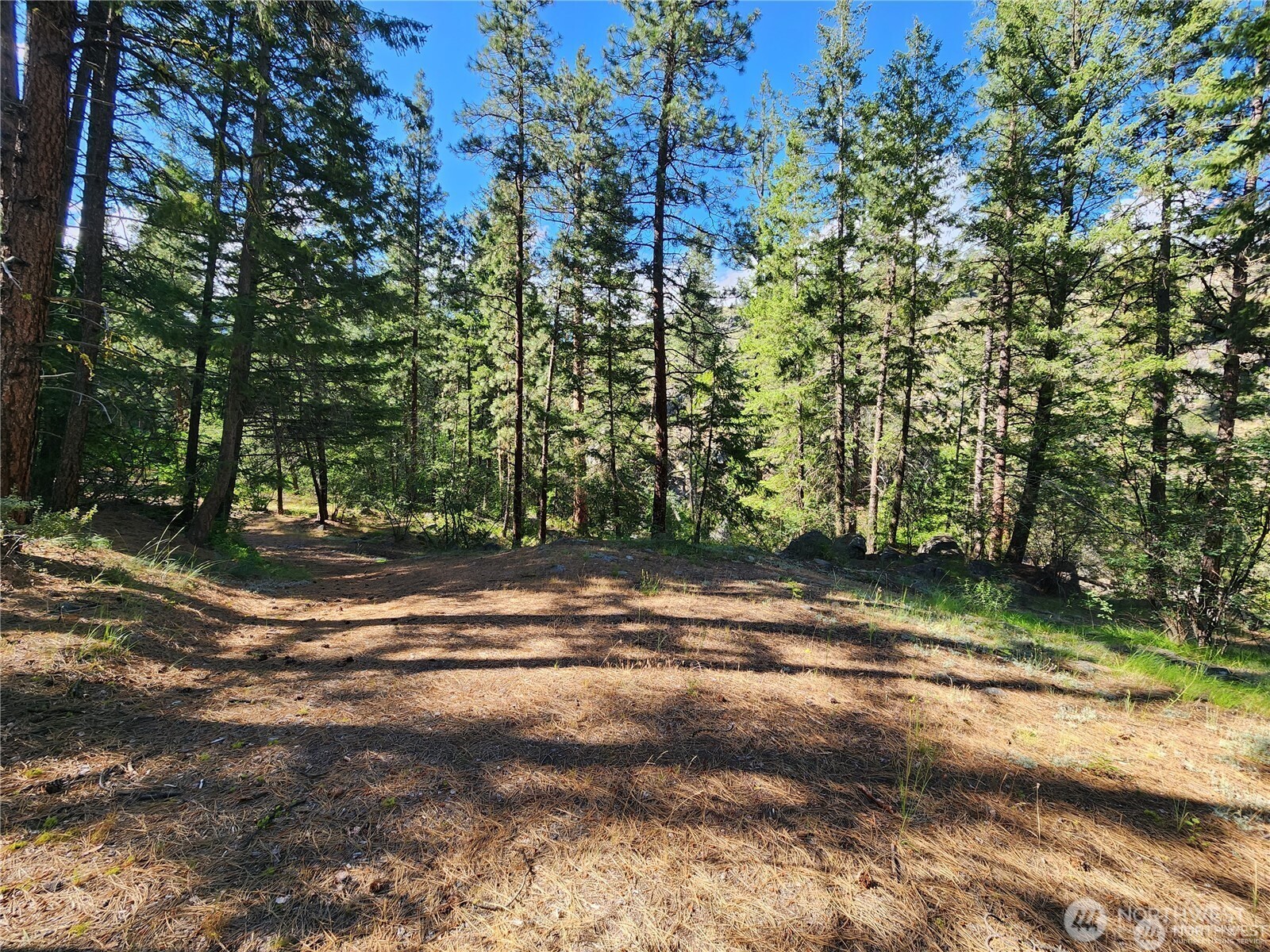 350-tbd Toats Coulee Road Loomis, WA 98827 - Photo 16 of 36