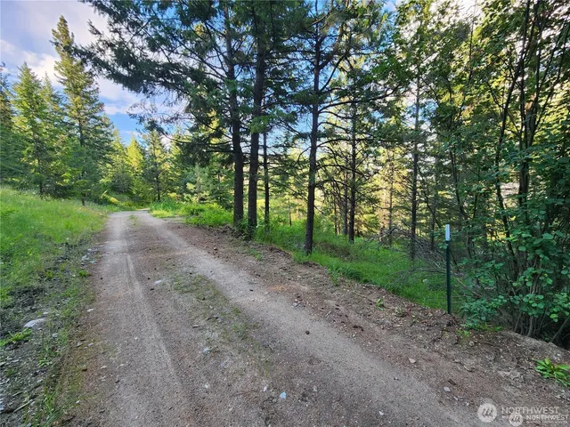 a view of outdoor space and trees