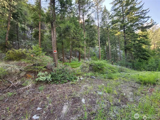 a view of a field of mountains and valleys