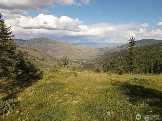 a view of a field with mountains in the background