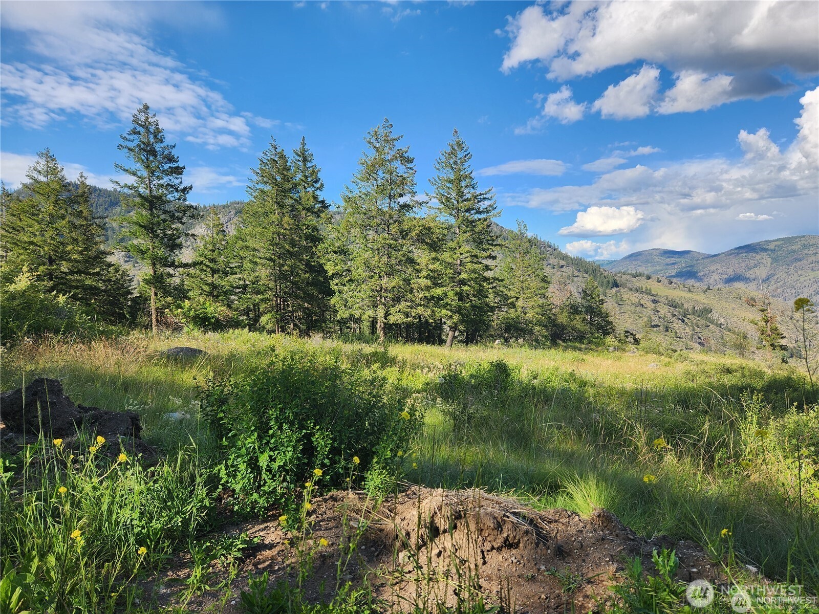350-tbd Toats Coulee Road Loomis, WA 98827 - Photo 2 of 36