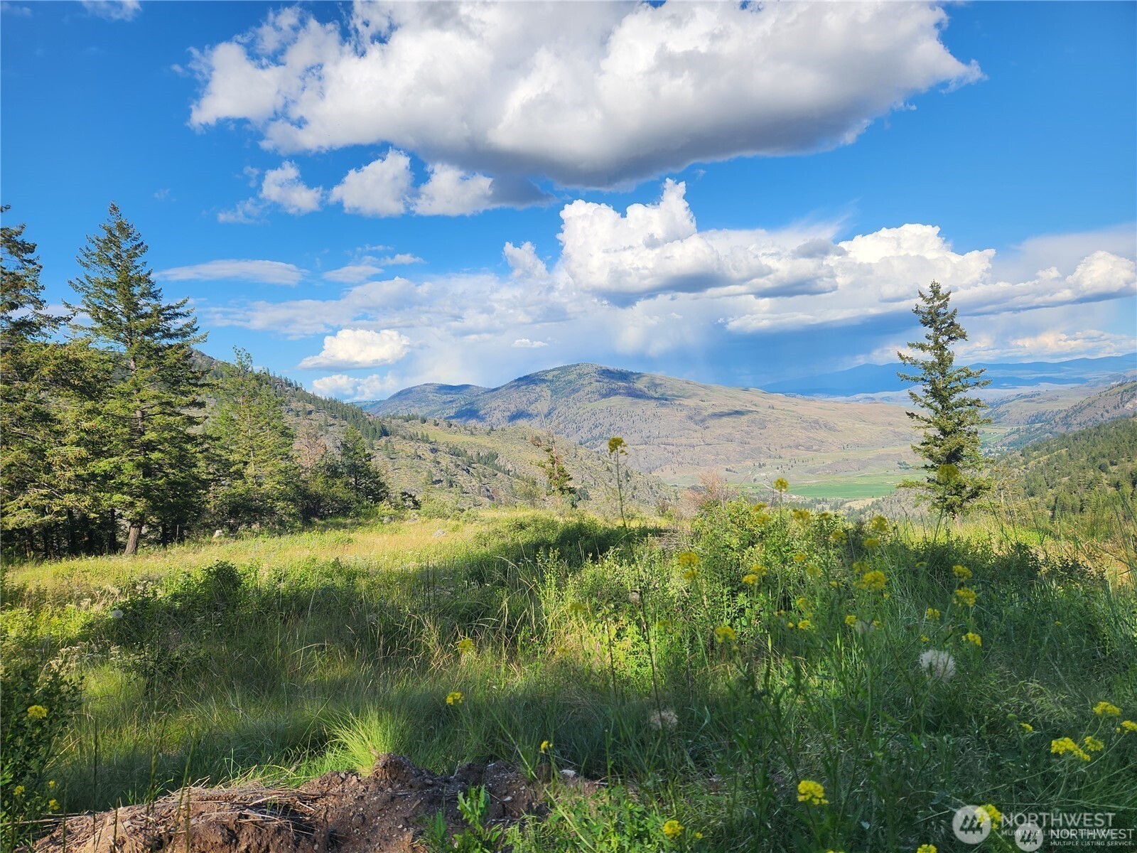 350-tbd Toats Coulee Road Loomis, WA 98827 - Photo 25 of 36