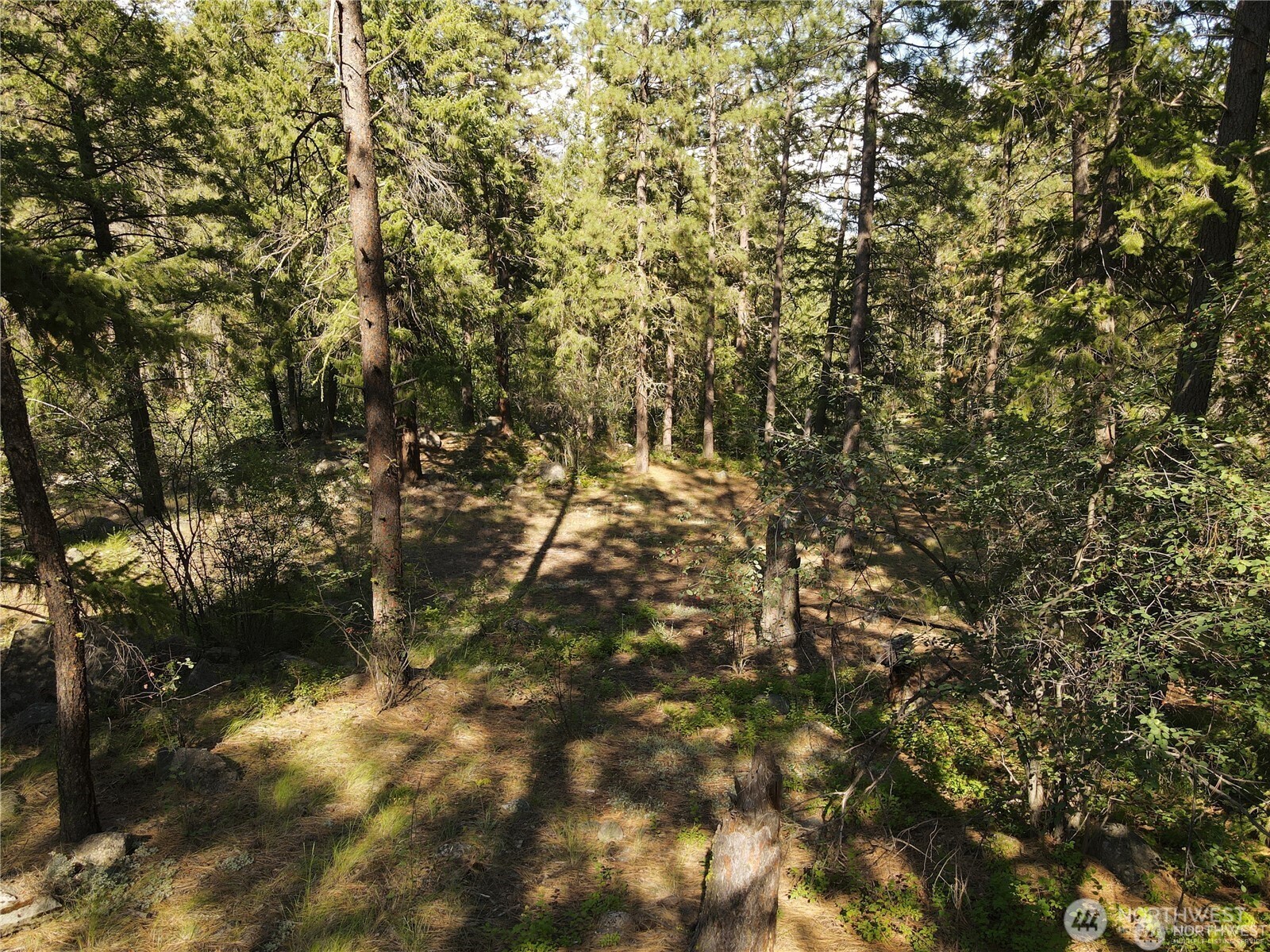 350-tbd Toats Coulee Road Loomis, WA 98827 - Photo 28 of 36