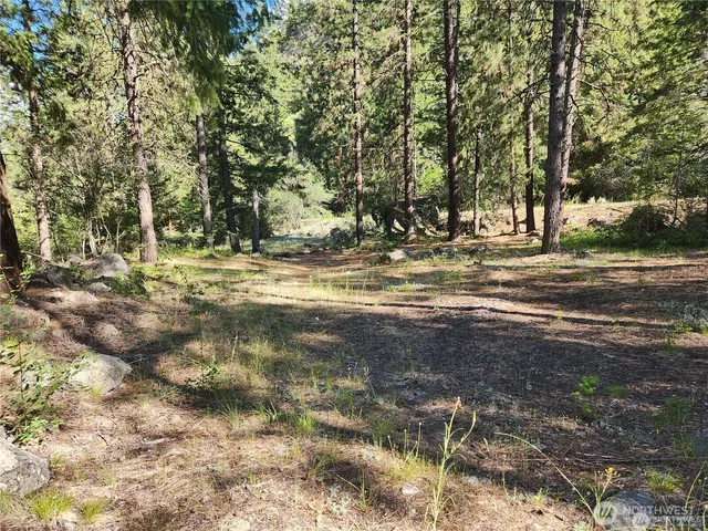 a view of a bunch of trees and mountains in the background