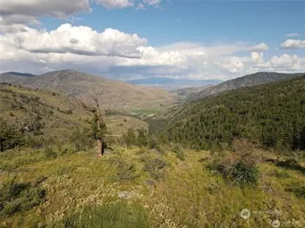 a big yard with lots of green space and deers