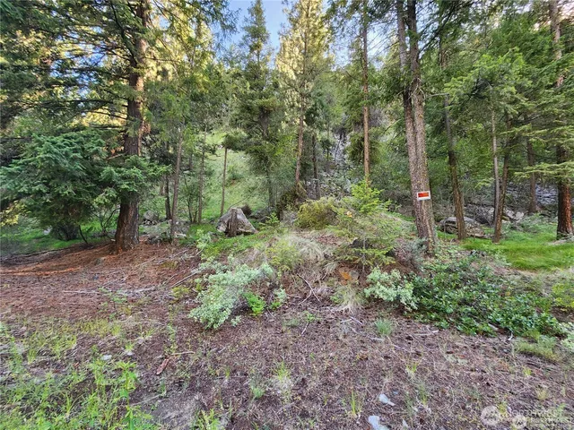 a view of a lush green forest with a mountain