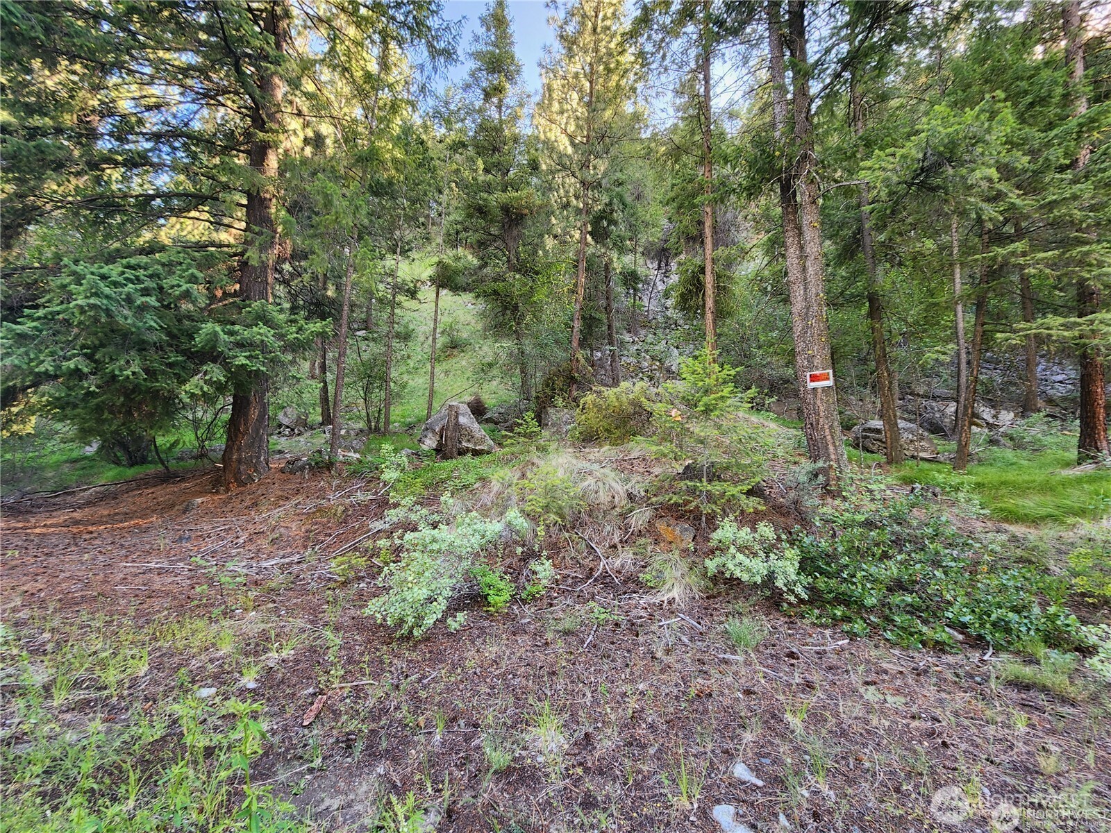 350-tbd Toats Coulee Road Loomis, WA 98827 - Photo 31 of 36